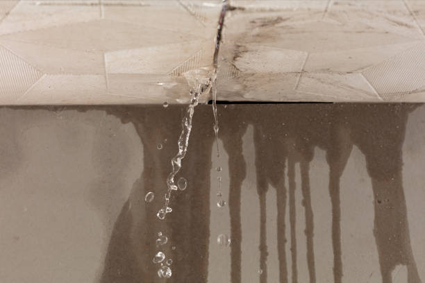 Professional Structural Drying technician working in Feesburg, OH